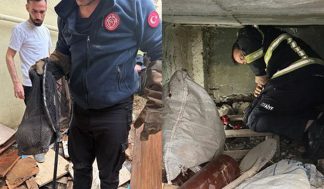 Yalova İtfaiyesinden Can Dostlara Şefkat Eli