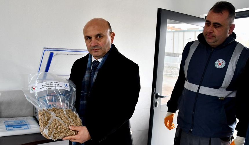 Atık Yemeklerden Yüksek Kalite Mama