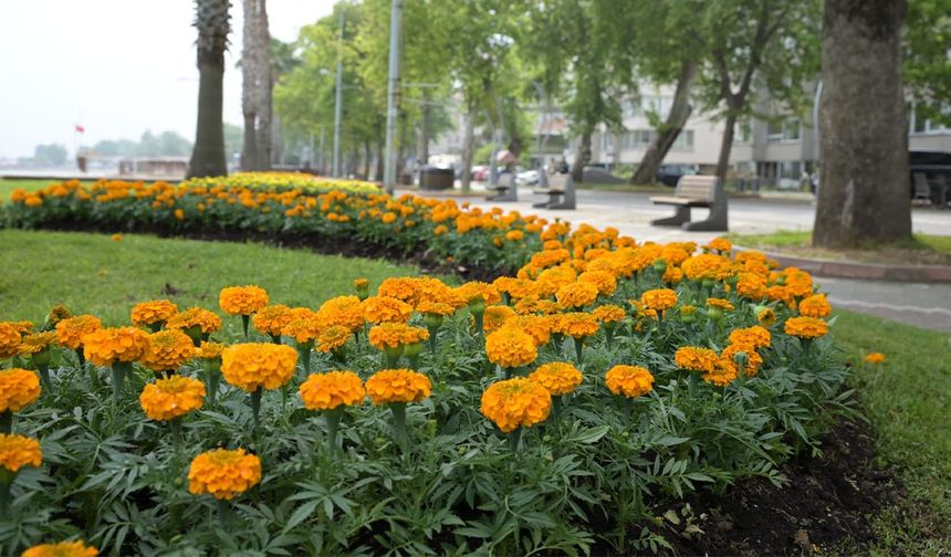 Gazipaşa Caddesi Rengarenk Oldu