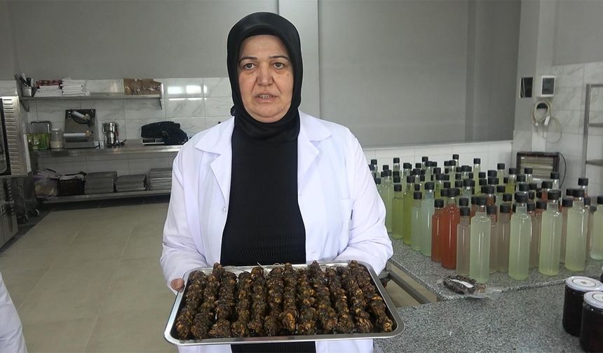 Girişimci Kadınlar Kivi Sucuğu Üretti