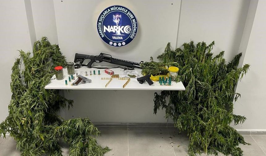 Yalova’da Uyuşturucu Operasyonu: 1 Tutuklama