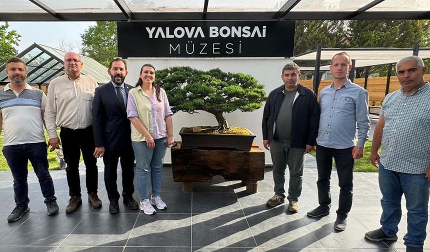 Kültür ve Turizm Bakanlığı Yetkililerinden Bonsai Müzesi’ne Ziyaret