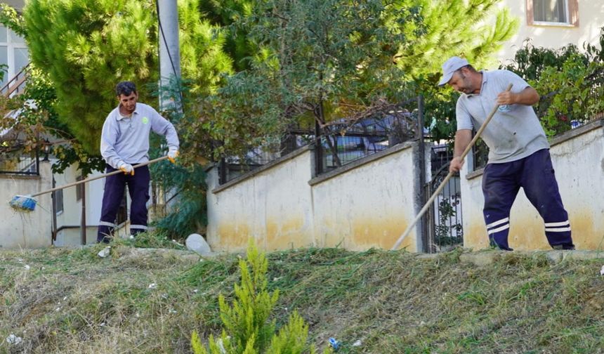 Armutlu Belediyesi Çevre Temizlik Çalışmalarına Devam Ediyor