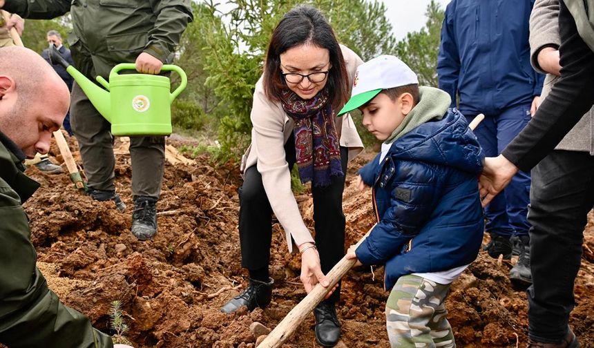 Yalova'da Yanan 25 Dönümlük Orman Alanı Ağaçlandırıldı