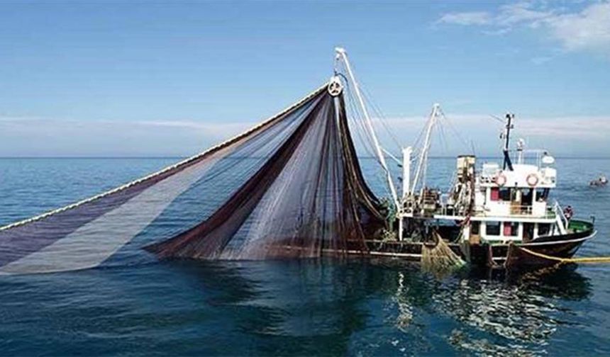 Yalovalı Balıkçılar Dikkat: Avlanma Kurallarında Değişiklikler Geldi!