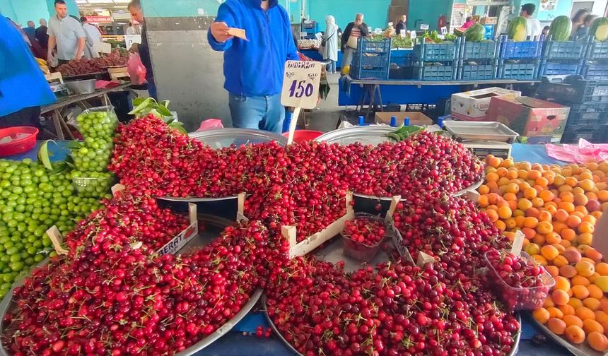 Yalova’da Yaz Meyveleri Fiyatları Düşmeye Başladı