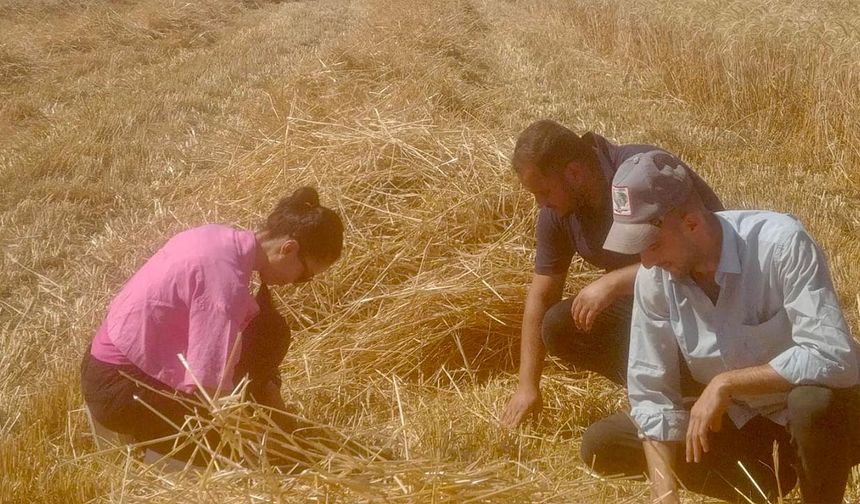 Yalova’da Dane Kaybına Karşı Sıkı Denetim