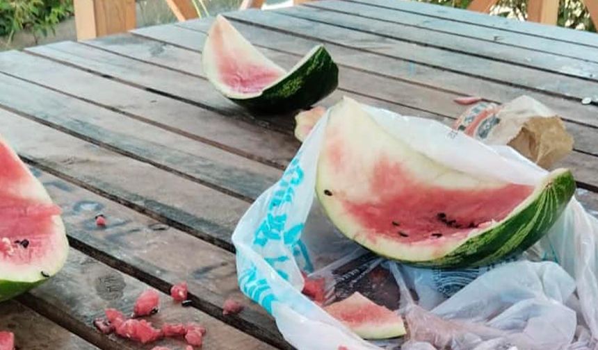 Subaşı Belediye Başkanı Turan Canbay’dan Çevre Temizliği Mesajı
