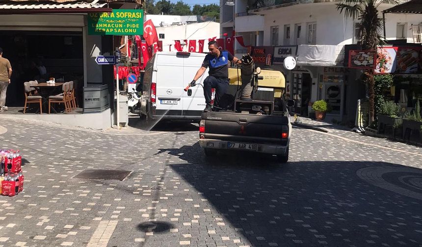 Termal’de Yaz Boyu Haşereyle Mücadele Sürüyor