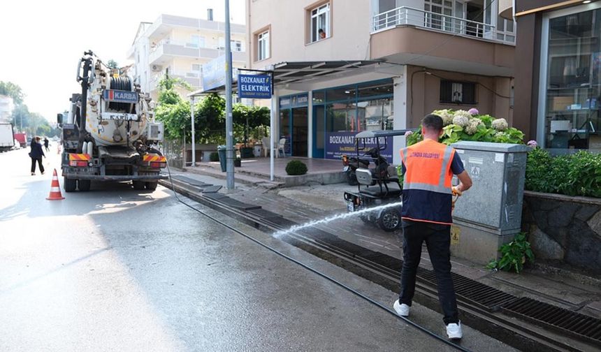 Altınova’da Mazgallar Temizlendi