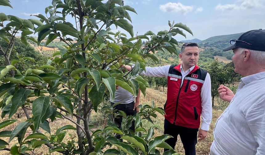 Çiftçiye Yerinde Destek