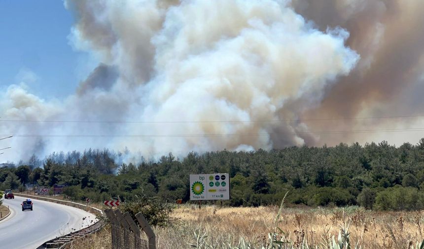 Çanakkale'de Tarım Arazisinde Başlayan Yangın Ormanlık Alana Sıçradı