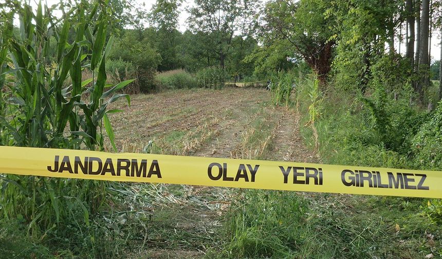Tarlada Bulunan Kafatası ve Kemikler Jandarmayı Harekete Geçirdi