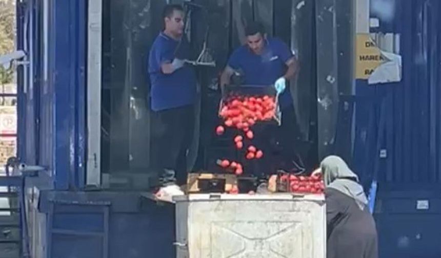 Zincir markette kasalar dolusu domates çöpe döküldü, o anlar tepki topladı