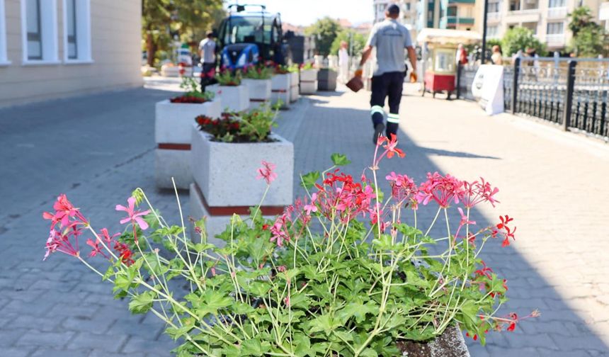 Yalova Belediyesi’nden Şehri Güzelleştiren Dokunuş