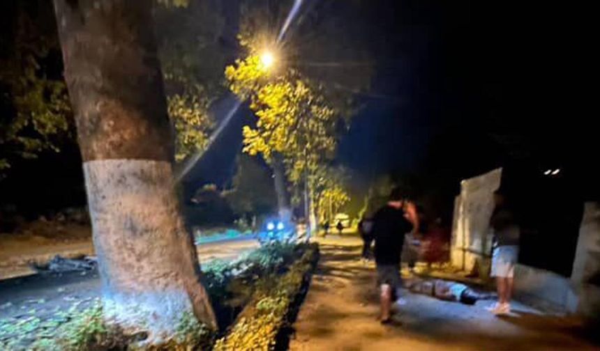 Yalova'da Ağaca Çarpan Motosikletli Ağır Yaralandı