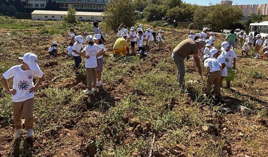 Minik Öğrenciler Armutlu’da Fidan Dikti