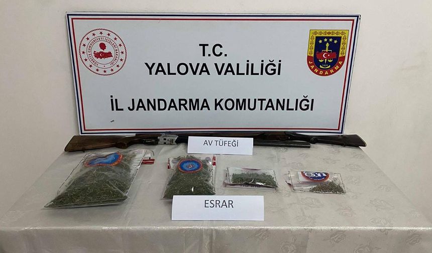 Çınarcık’ta Uyuşturucu Operasyonu: Evinde Esrar ve Tüfek Ele Geçirildi
