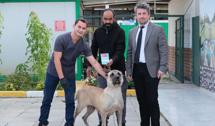 Çiftlikköy Veterinerleri Şila’yı Hayata Bağladı