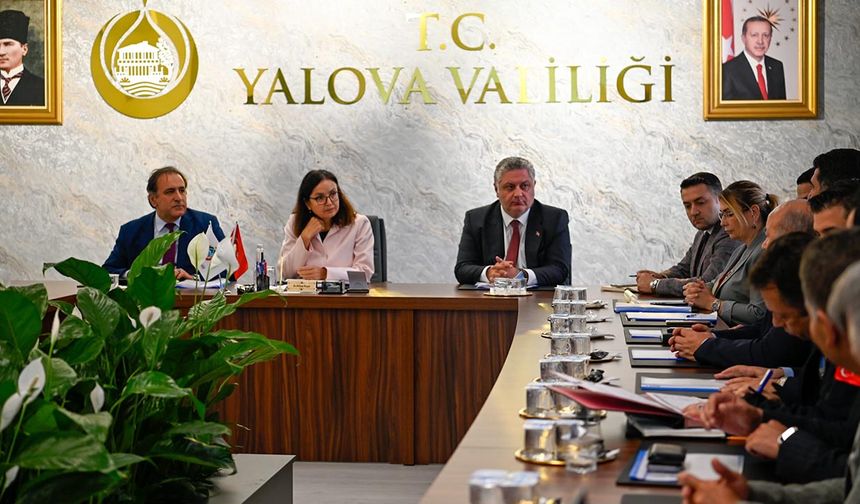 Yalova’da Sahipsiz Hayvanlar İçin Koordinasyon Toplantısı Düzenlendi