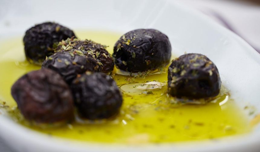 2025 Yılı Zeytin Hasadı Armutlu’da Başladı