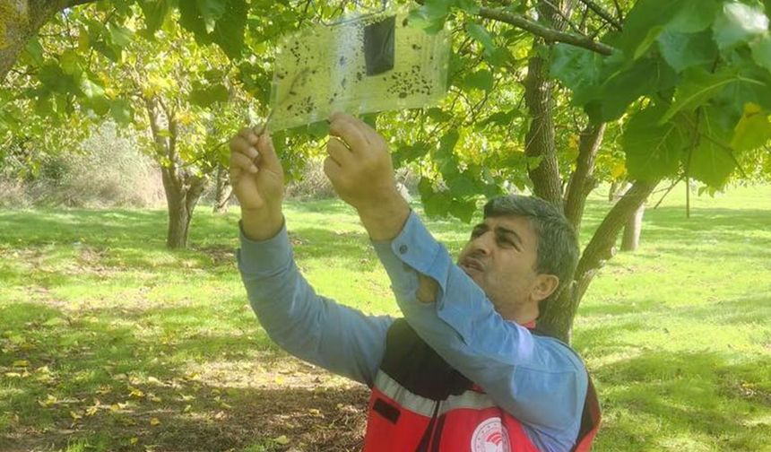Tarım Alanlarında Zararlılara Geçit Yok