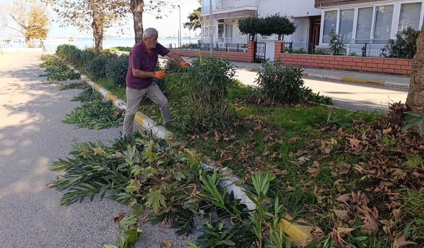 Zakkumlar Kışa Hazırlanıyor
