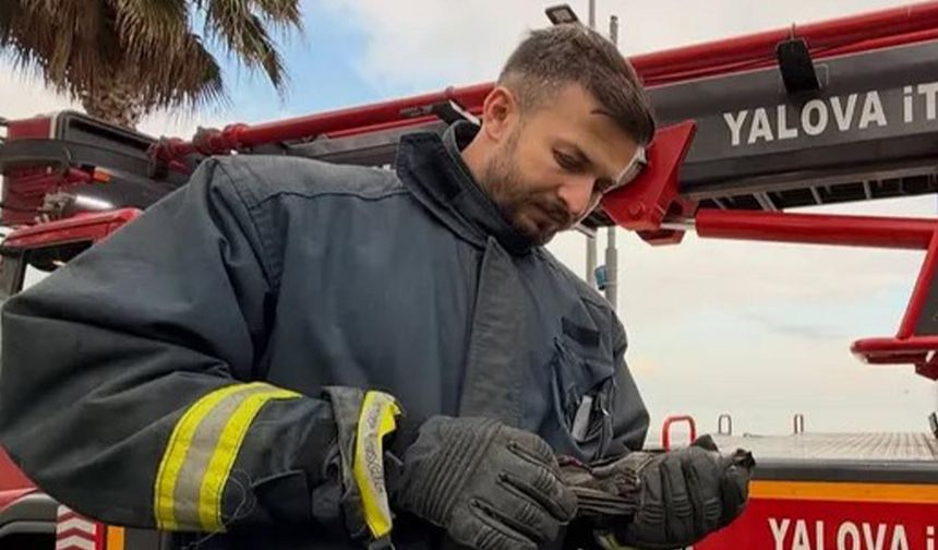 Ağaçta Mahsur Kalan Yaralı Karga İçin İtfaiye Seferber Oldu