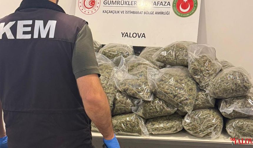 Yalova Ro-Ro Limanı’nda 37 Kilo Uyuşturucu Ele Geçirildi: 5 Şüpheli Gözaltında