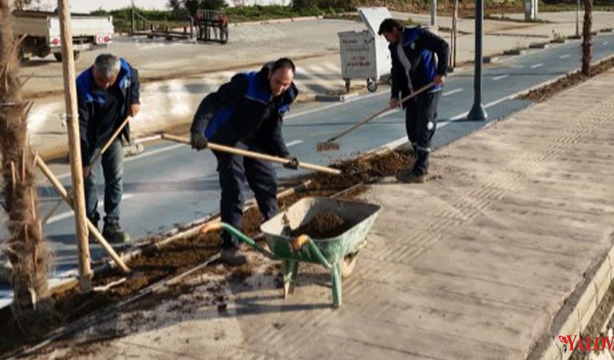 Yılandar Sahili’nde Ağaçlandırma ve Peyzaj Çalışmaları Sürüyor