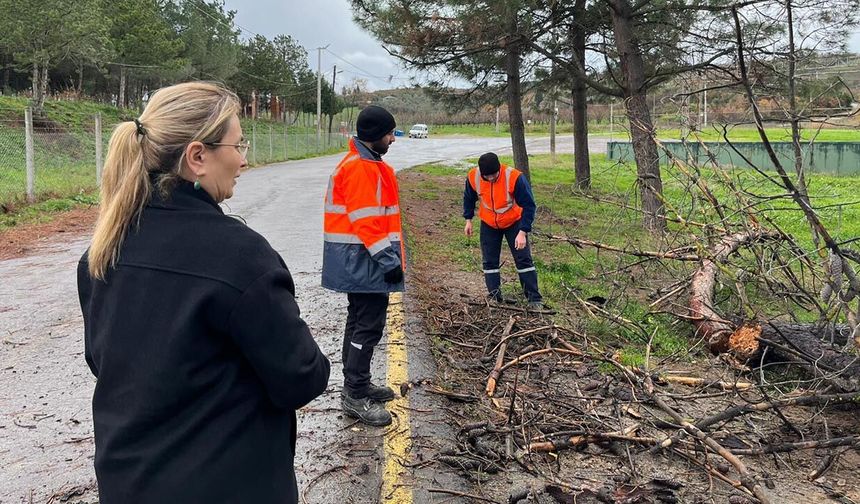 Altınova’da Fırtına Etkili Oldu: Uçan Çatılar, Devrilen Ağaçlara Anında Müdahale