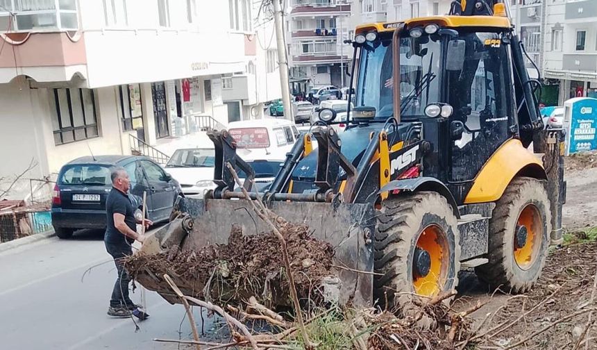 Çınarcık Sokaklarında Hummalı Temizlik