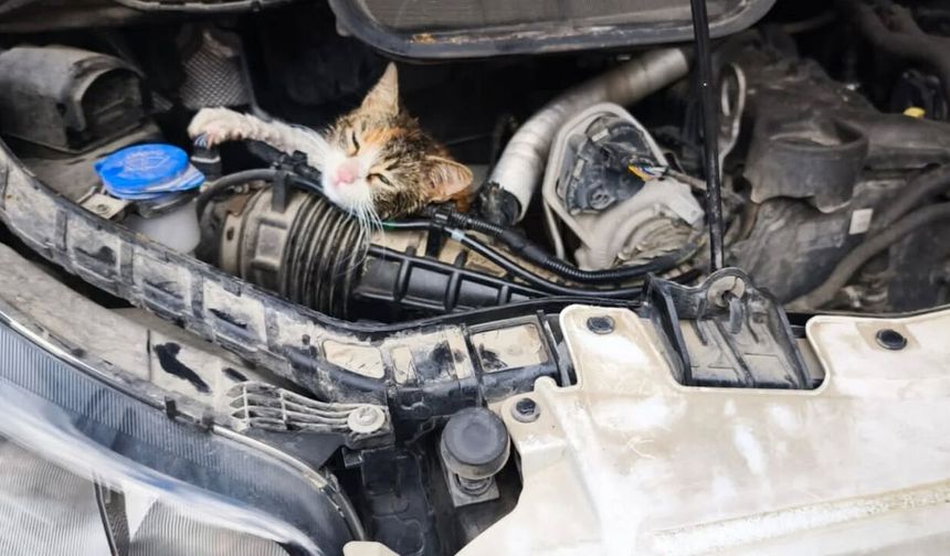 Motor Kaputundan Gelen Ses Hayat Kurtardı