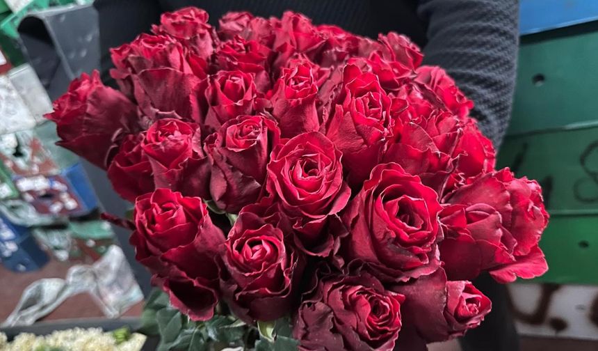 Yağış ve Don Geldi, Uganda ve Kenya Gülleri Öne Çıktı