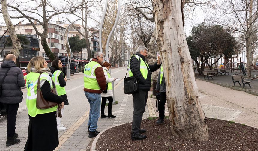 Yalova’da 624 Bin Metrekare Park ve Yeşil Alan Yenilendi