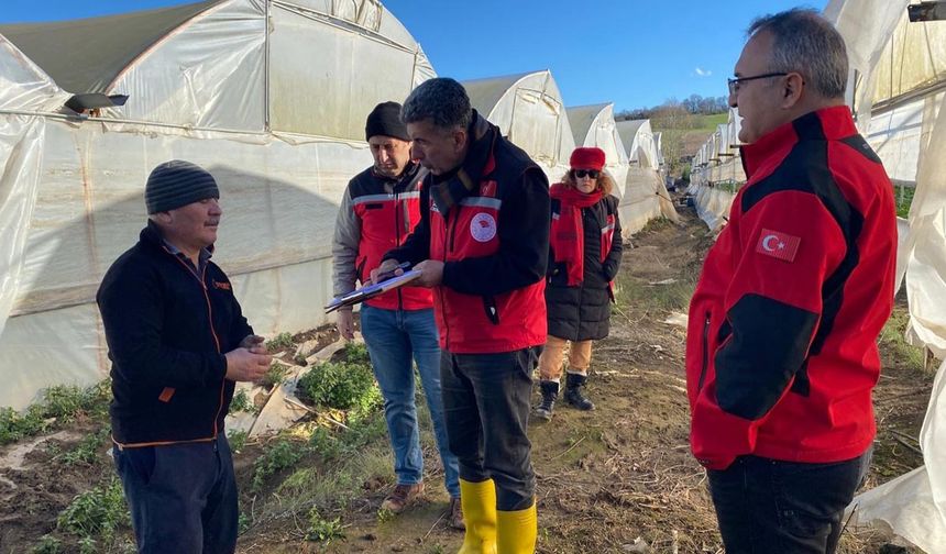 Yalova’da Fırtına Bilançosu: 97 Başvuru Alındı