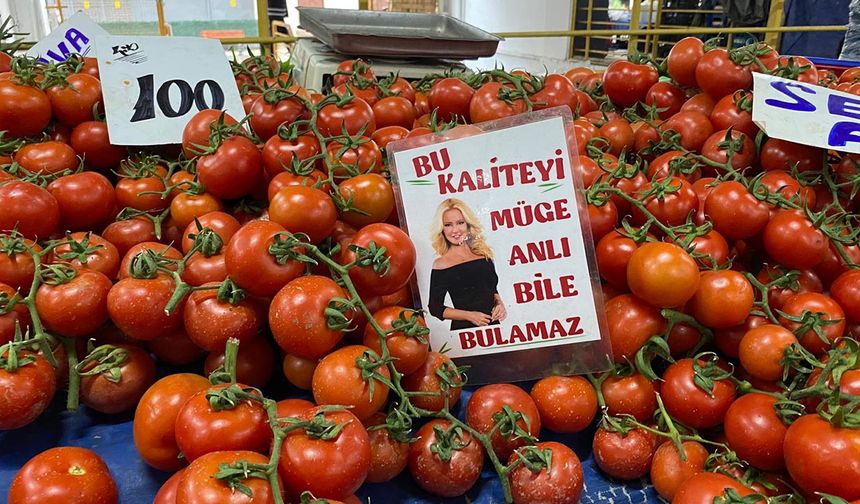 Yalova’da Semt Pazarı Cep Yaktı