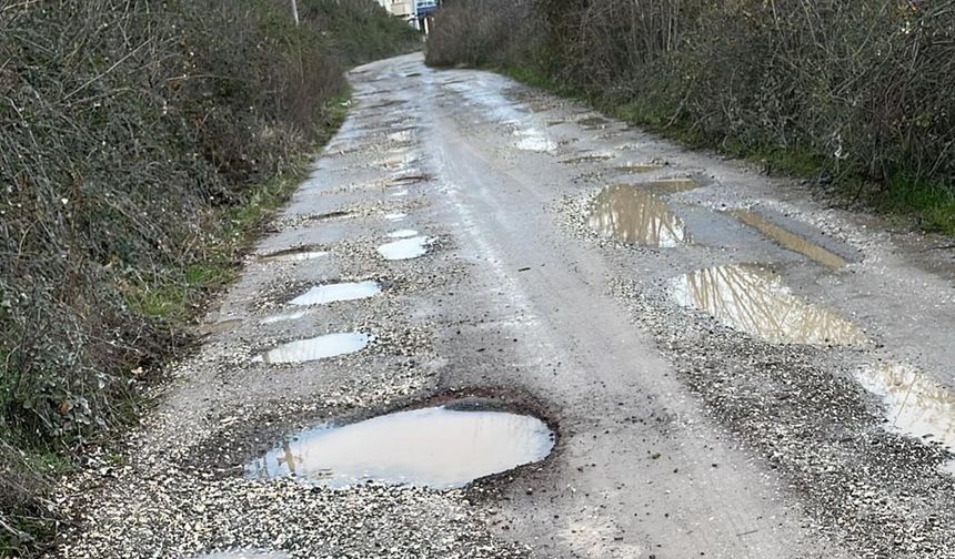 Yalovalı Vatandaşlar Soruyor; “Bu Yol Ne Zaman Yapılacak?”