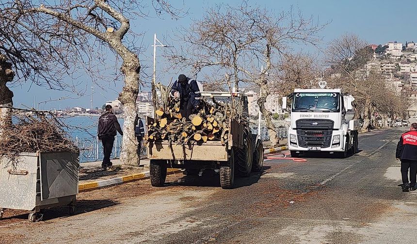 Bahar Geldi, Esenköy Sahilinde Çalışmalar Hızlandı