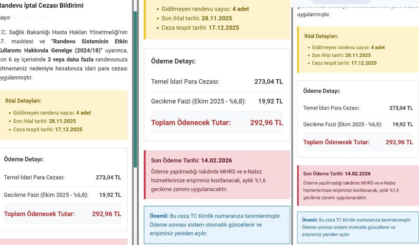 Yalovalılar Dikkat: MHRS Randevu Dolandırıcılığı Alarmı