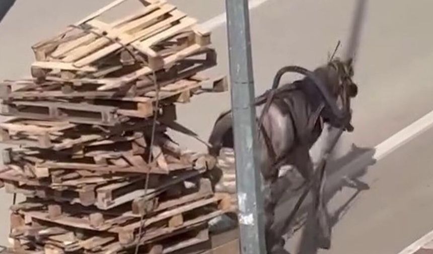 Bursa’da pes dedirten görüntüler