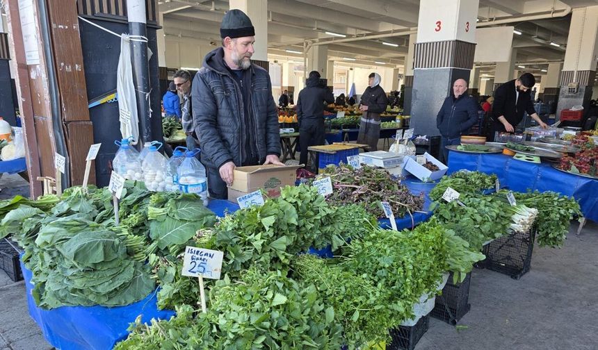 Yalova’da Örtüaltı Sebze Üretim Alanlarında Saha Çalışmaları Aralıksız Sürüyor