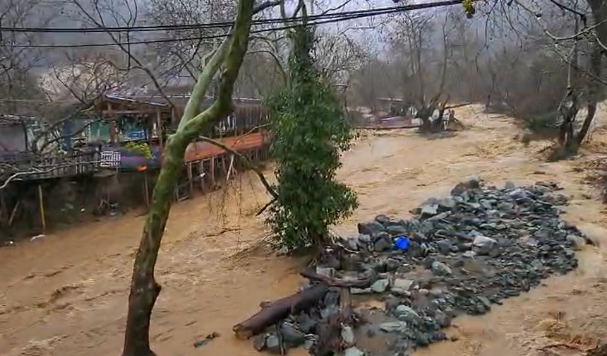 Yalova’da Sağanak Yağışta Dereler Taştı, 5 Büyükbaş Hayvan Telef Oldu