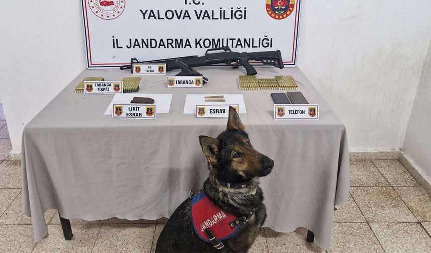 Çınarcık’ta Uyuşturucu ve Silah Operasyonu: 1 Kişi Tutuklandı