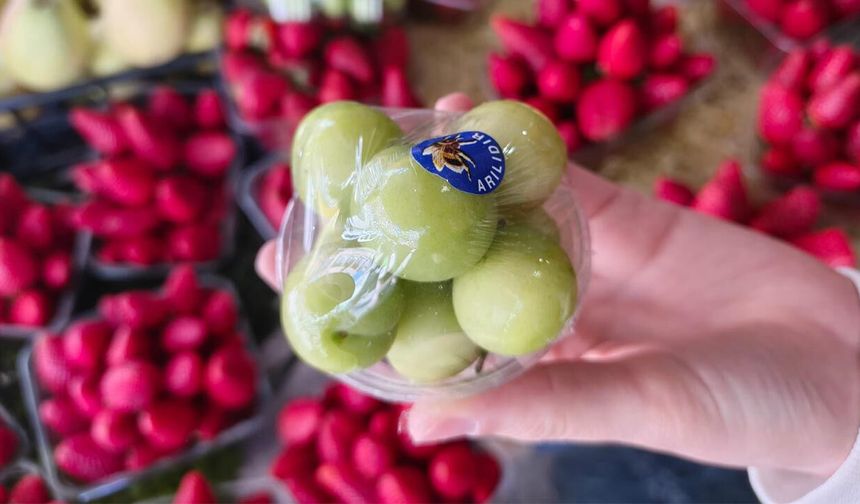 Tadımlığı 150 Lira: Yalova’da Yaz Meyveleri El Yakıyor