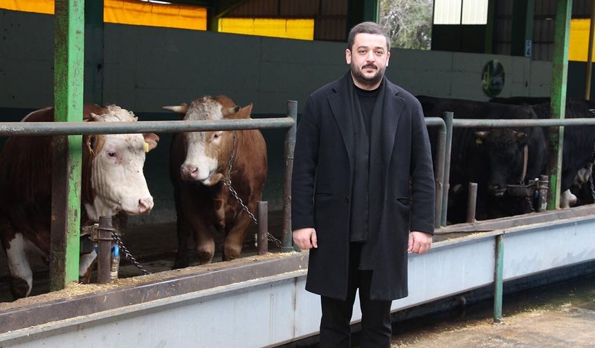 Yalova’da Kurbanın Adresi Güleç Kardeşler: Satışlar Devam Ediyor