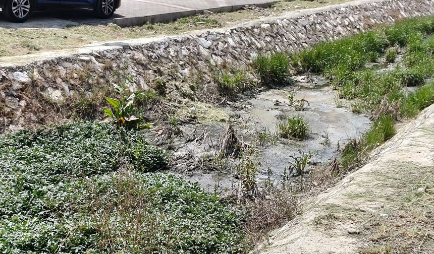 Yalova Üniversitesi Kampüsünde Öğrencilerden Dere Tepkisi