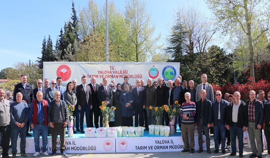 Yalova’da 100’ü Aşkın Üreticiye Fasulye Ve Ayçiçeği Dağıtıldı