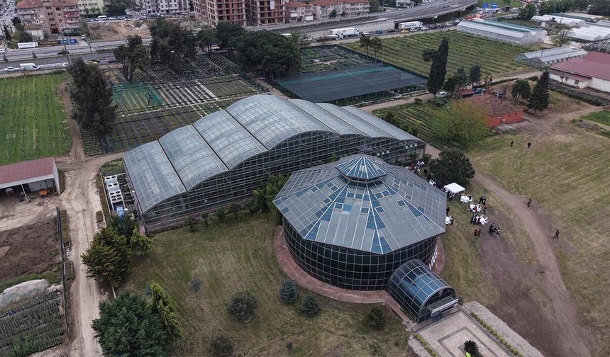 Türkiye’nin Bitki Hazinesi Yalova’da Korunuyor