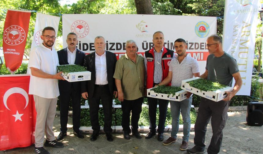 Armutlu’da Üreticiye 20 Bin Fide Desteği